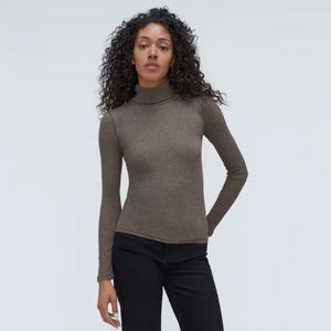 Everlane Pima Micro-Rib Turtleneck